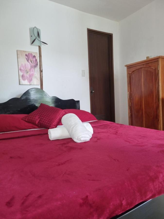 Southpoint Hostel Moalboal Εξωτερικό φωτογραφία